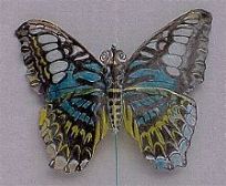 small butterfly [(WxH)  70 x 55 mm]