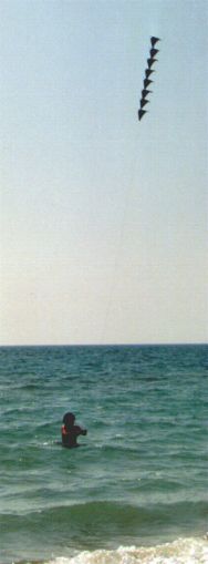 8 pcs speedies [(WxH)  260 x 110 mm, approx. 1,5 m long]