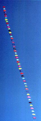 50 flying Speedwings [(WxH)  140 x 70 mm, approx. 5 m long]
