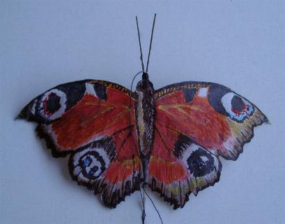 Peacock butterfly [(WxH) 115 x 85 mm]