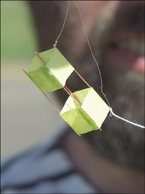 Boxkite and Wilfried [(WxDxL) 9 x 9 x 29 mm]