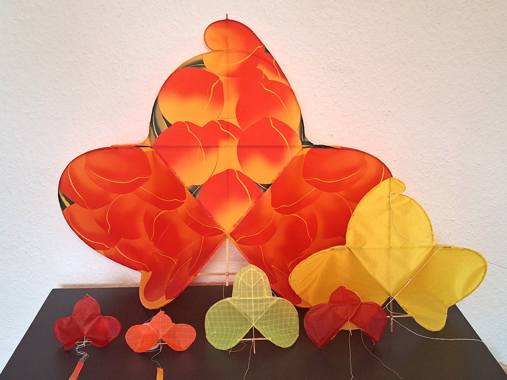 Hard-Wing-Kite