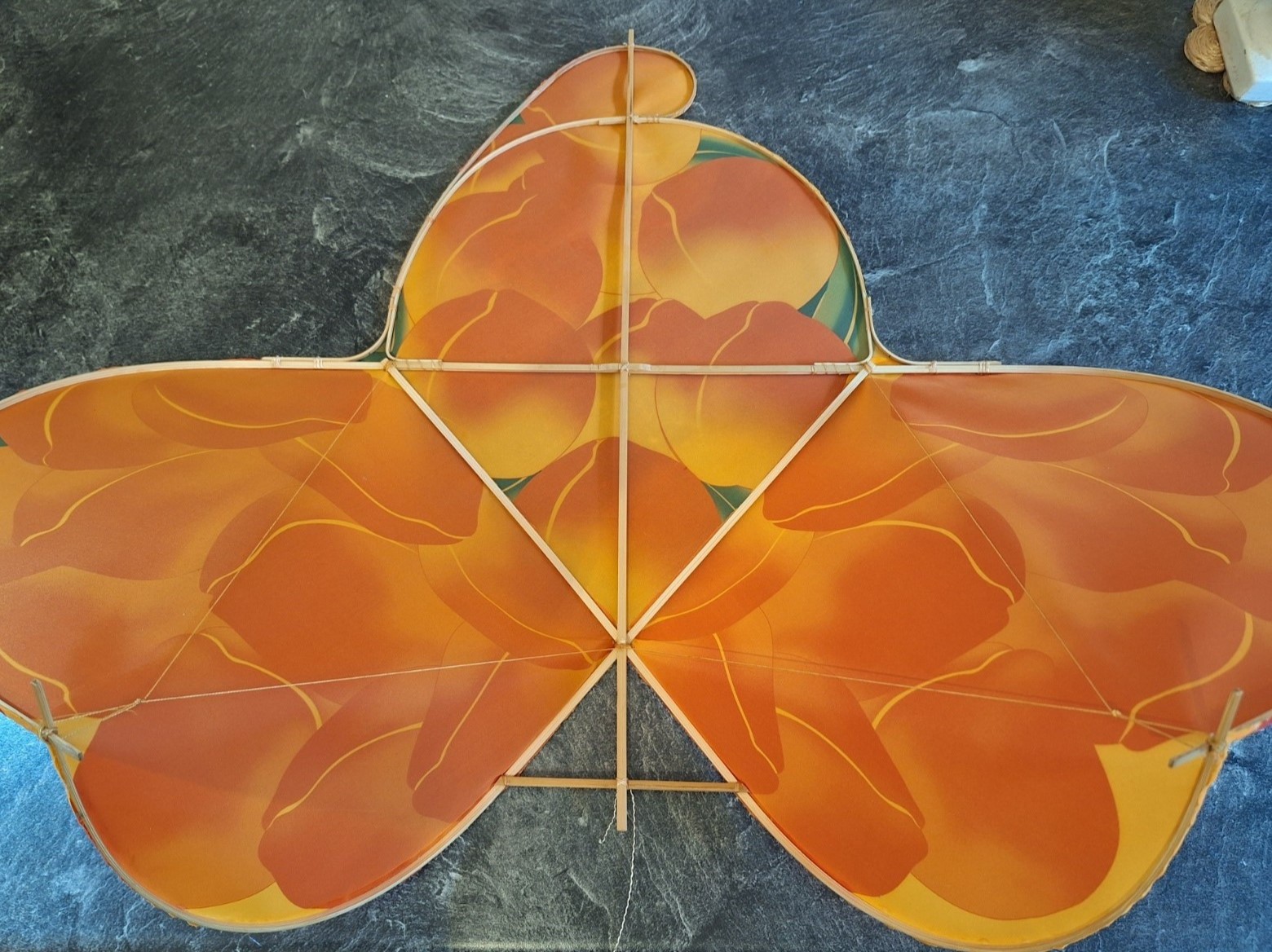 Hard-Wing-Kite