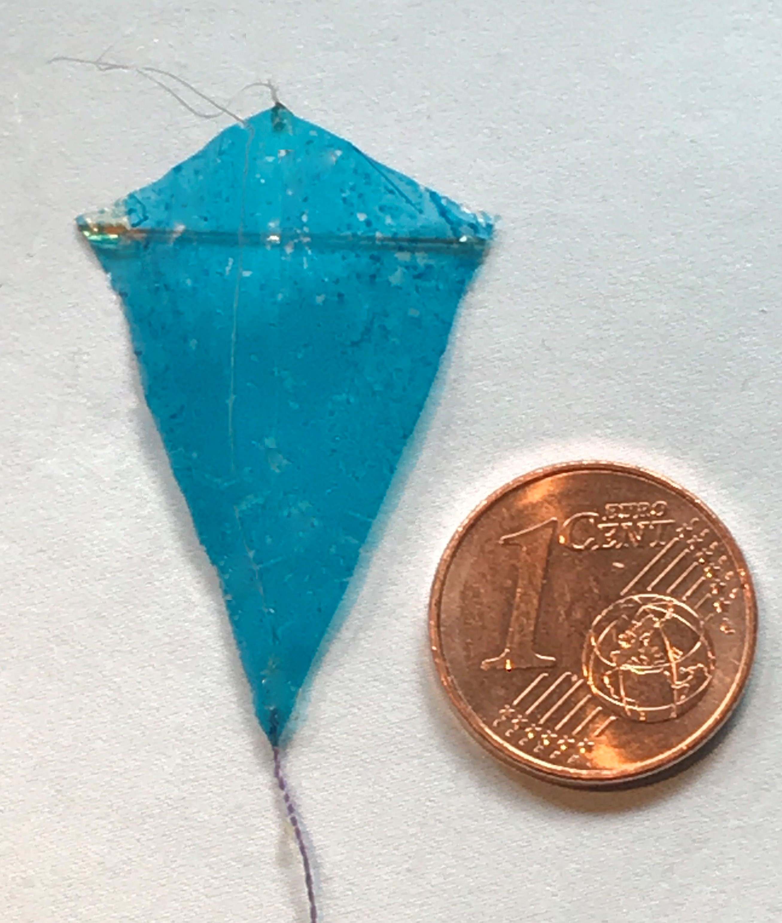 Leichtwindeddy [(BxH) 20 x 30  mm)