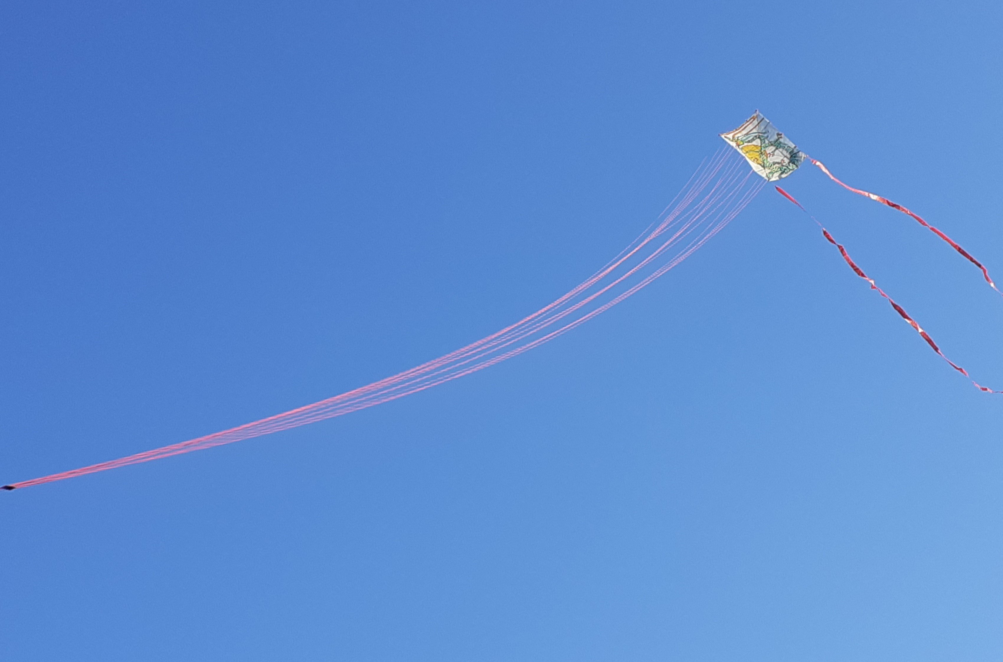 Edo mit langer Waage im Flug:  [(BxH) 113 x 155 mm]