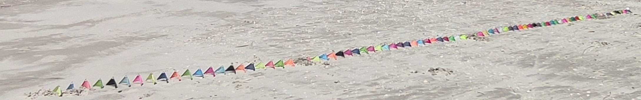 84er Speedwings-Kette