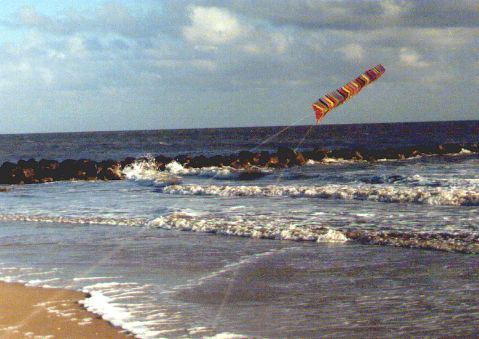 50 fliegende Speedwings [(BxH)  140 x 70 mm, ca. 5 m lang]